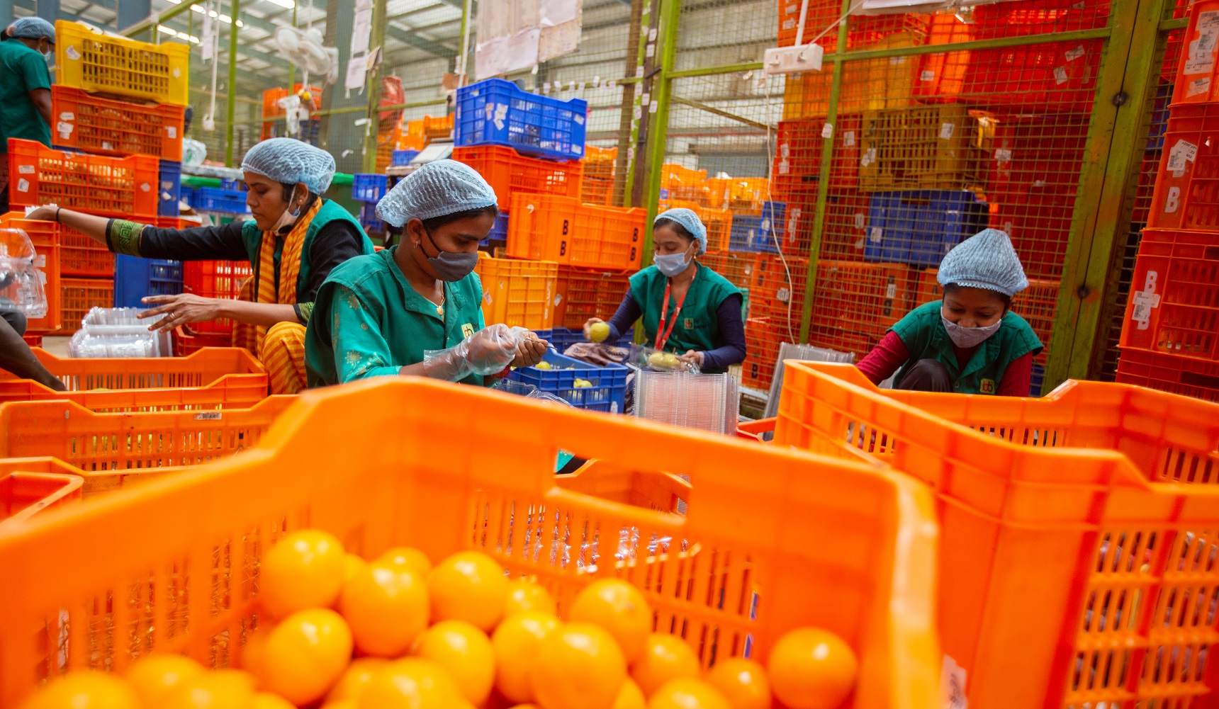 workers at big basket warehouse facility